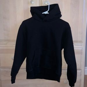 Aritzia hoodie